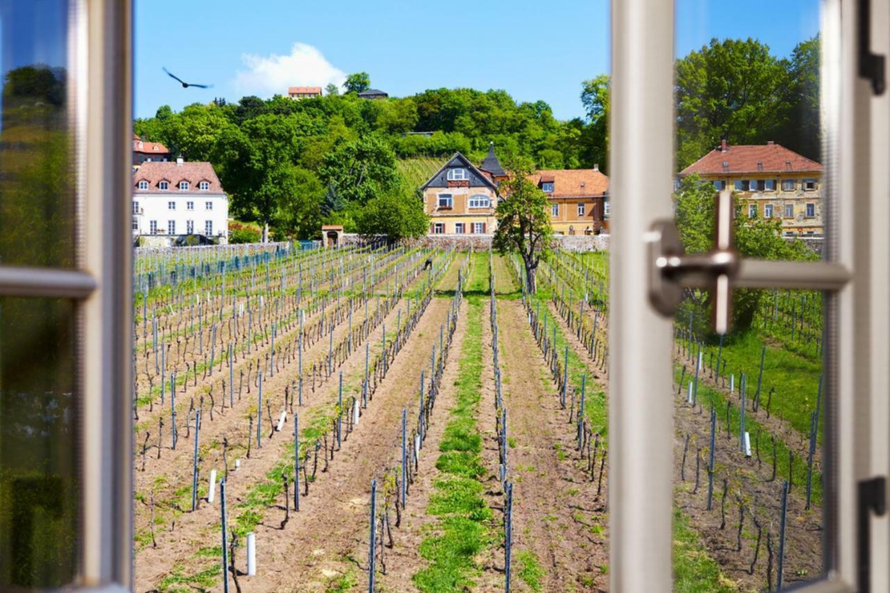 Weingut Haus Steinbach Villa Radebeul Ngoại thất bức ảnh