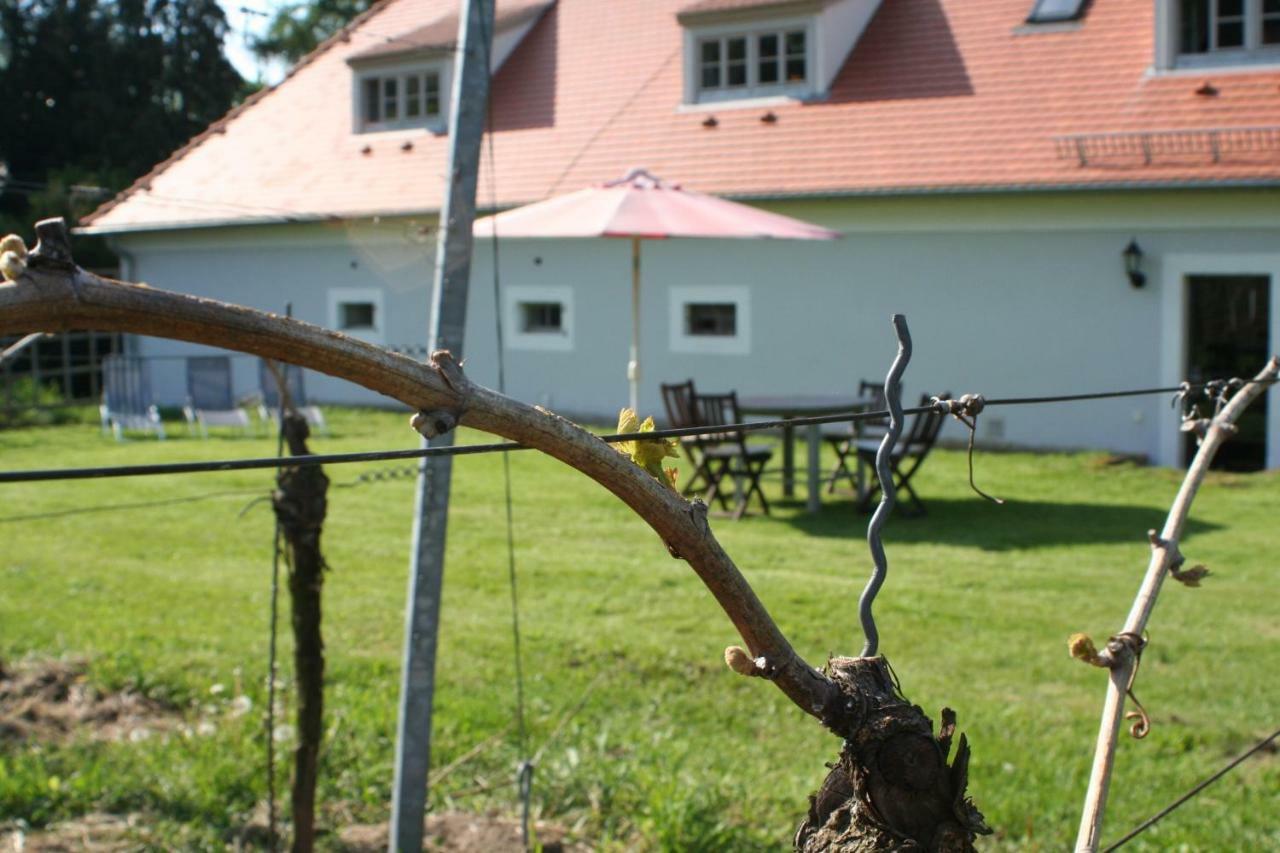 Weingut Haus Steinbach Villa Radebeul Ngoại thất bức ảnh